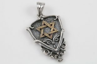 Shield With Star of David Silver Pendant PT-071